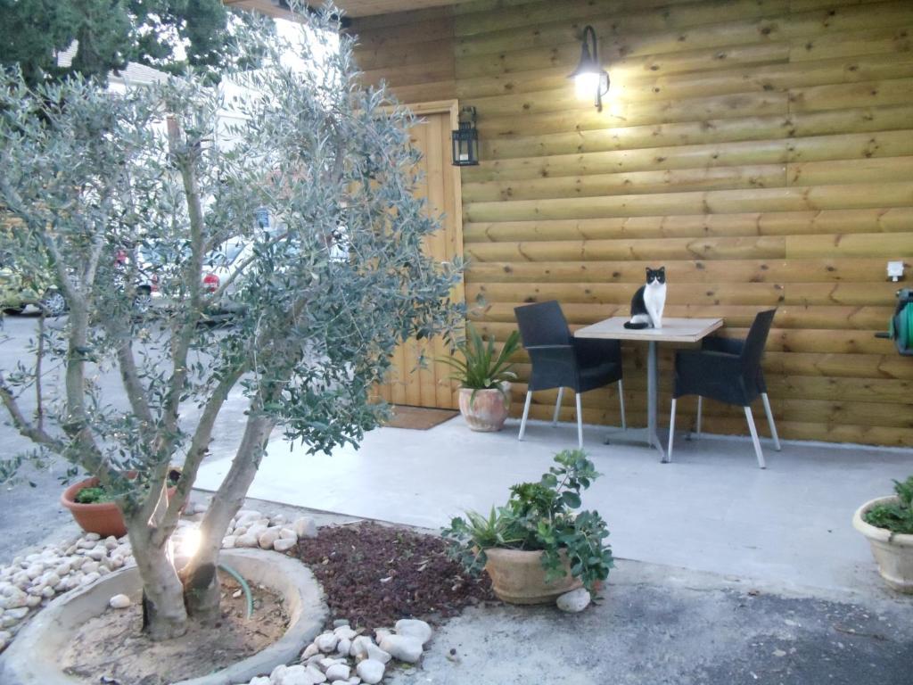 Casa Vital Boutique Hotel Rechovot Kamer foto